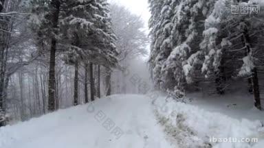 冬天，山上一条被雪覆盖的空旷道路的景色，道路两旁<strong>长</strong>满了树